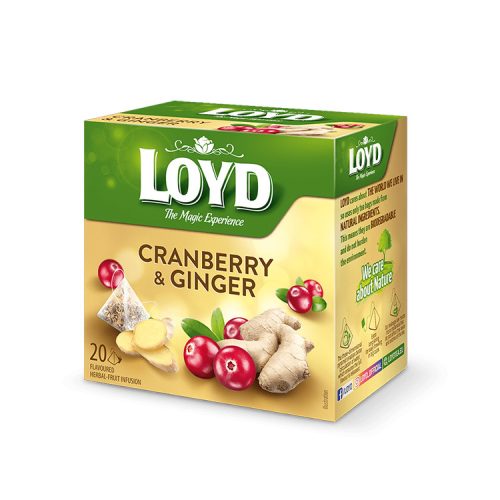 Loyd piramid tea gyömbér-váf - 40g